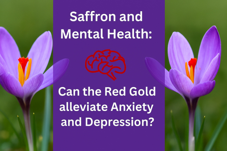 «تأثیر زعفران بر افسردگی و اضطراب | خواص روان‌درمانی طلای سرخ»